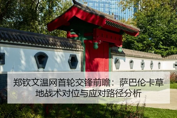 zheng-qin-wen-wen-wang-shou-lun-jiao-feng-qian-zhan-sa-ba-lun-ka-cao-di-zhan-shu-dui-wei-yu-ying-dui-lu-jing-fen-xi-2-152.jpg