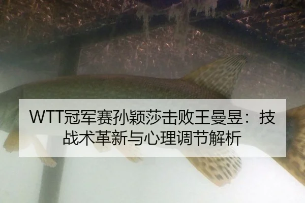 guan-jun-sai-sun-ying-sha-ji-bai-wang-man-yu-ji-zhan-shu-ge-xin-yu-xin-li-tiao-jie-jie-xi-2-567.jpg